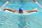 Swimming vs Bentley  Wheaton College Swimming vs Bentley. - Photo By: KEITH NORDSTROM : Wheaton, Swimming, Bentley